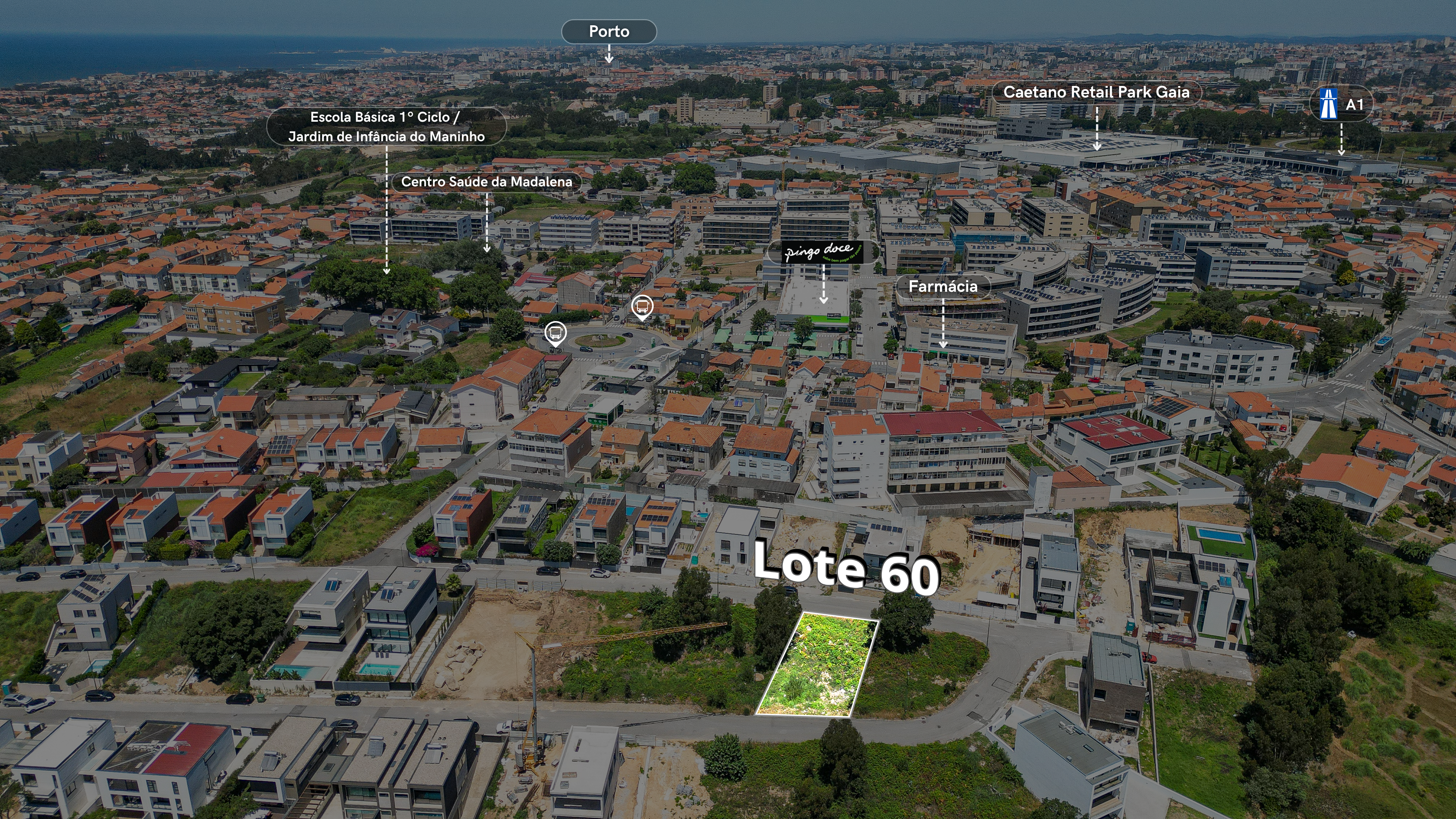 Lote 60 Maninho - 3